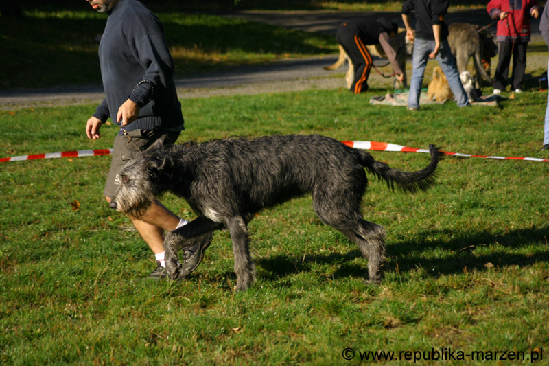 IMG_8411 Tullamore Cup 08