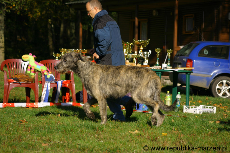 IMG_8440 Tullamore Cup 08