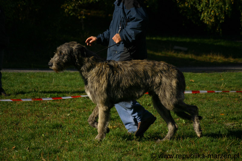 IMG_8456 Tullamore Cup 08