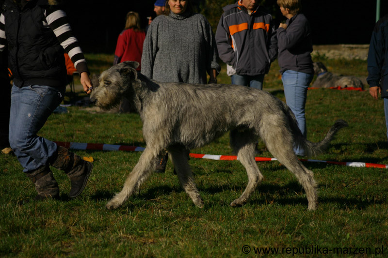 IMG_8466 Tullamore Cup 08