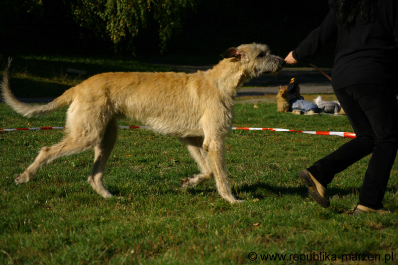 IMG_8491 Tullamore Cup 08