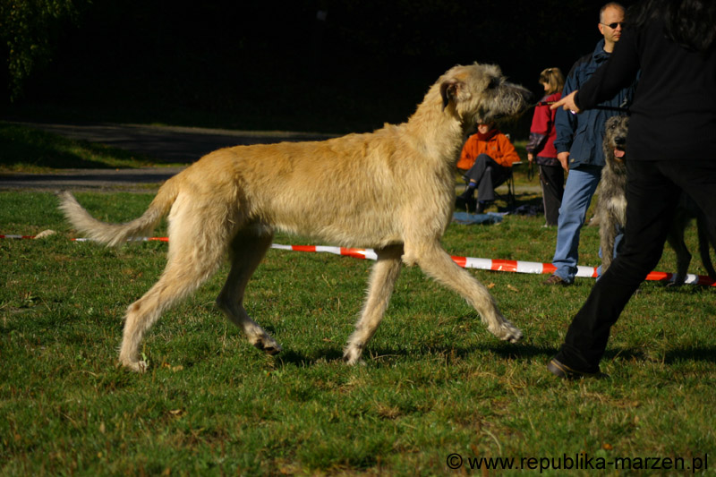 IMG_8492 Tullamore Cup 08