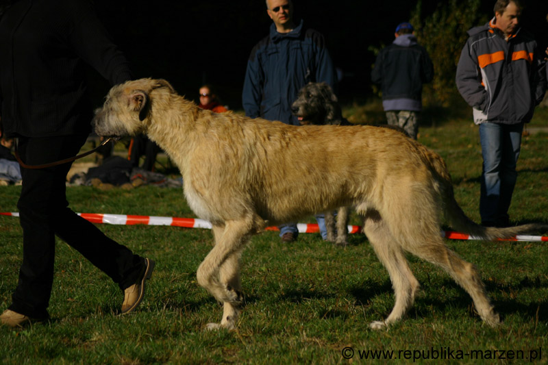 IMG_8494 Tullamore Cup 08
