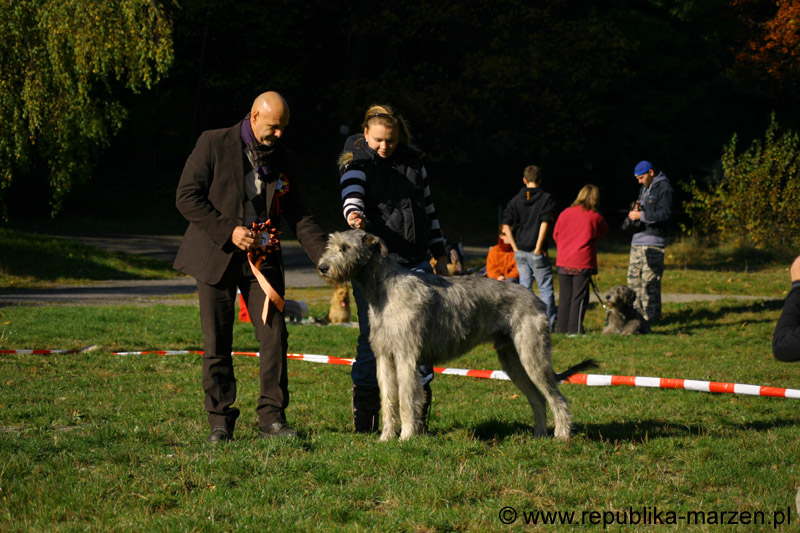 IMG_8508 Tullamore Cup 08