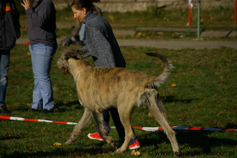 IMG_8511 Tullamore Cup 08