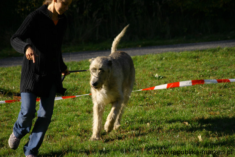 IMG_8540 Tullamore Cup 08