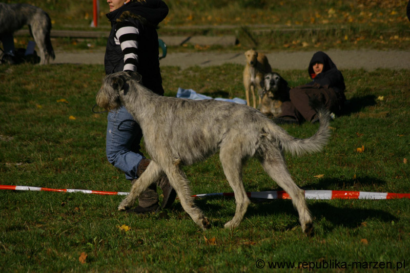 IMG_8607 Tullamore Cup 08