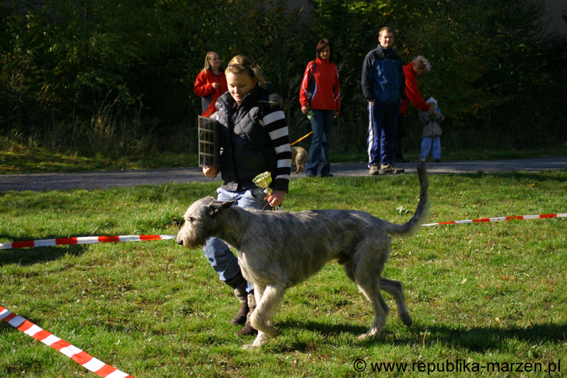 IMG_8614 Tullamore Cup 08