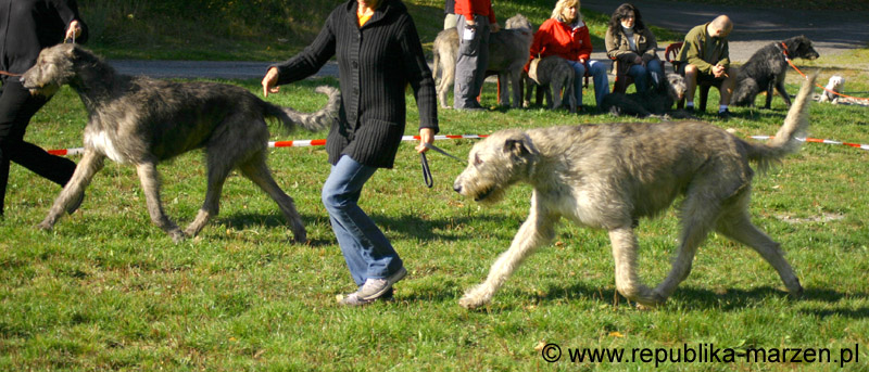 IMG_8630 Tullamore Cup 08