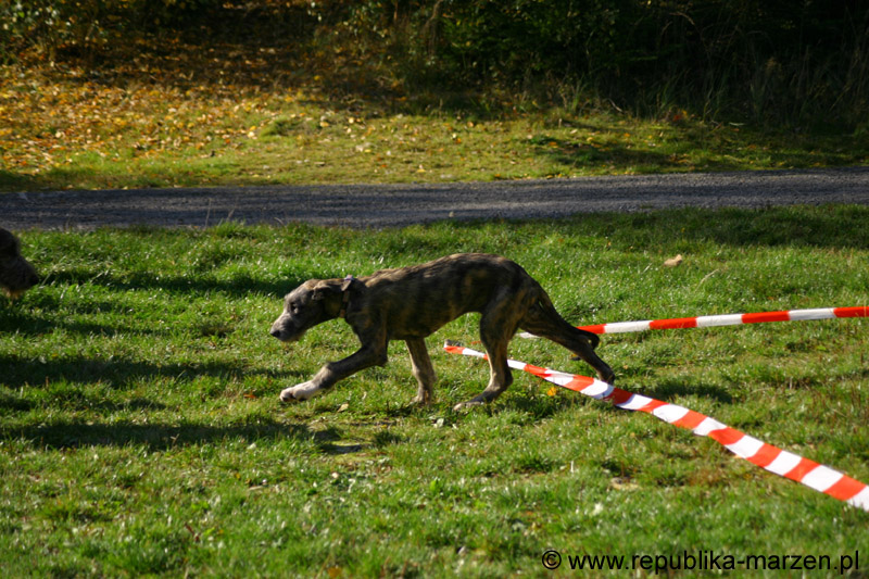 IMG_8650 Tullamore Cup 08