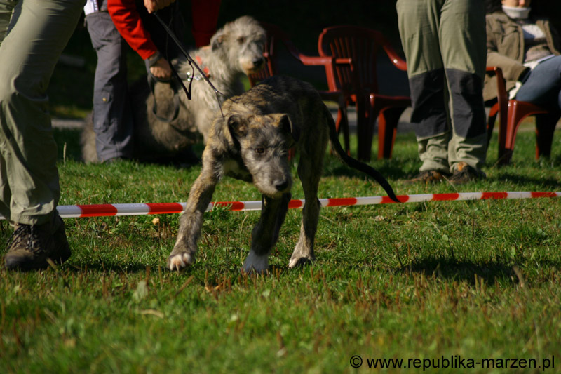 IMG_8665 Tullamore Cup 08