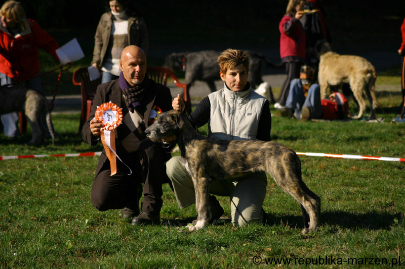 IMG_8671 Tullamore Cup 08