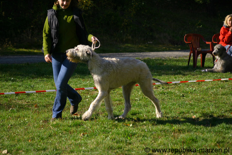 IMG_8704 Tullamore Cup 08