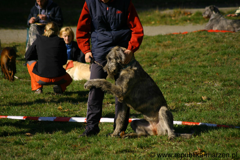 IMG_8707 Tullamore Cup 08