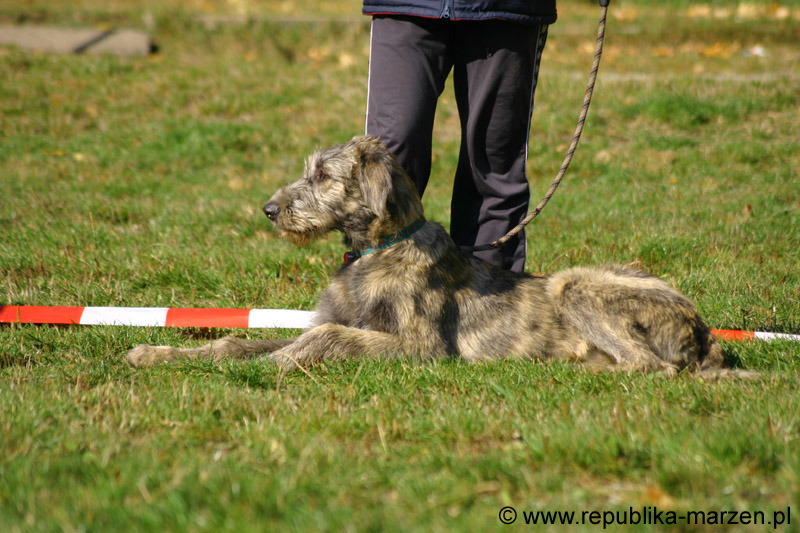 IMG_8711 Tullamore Cup 08