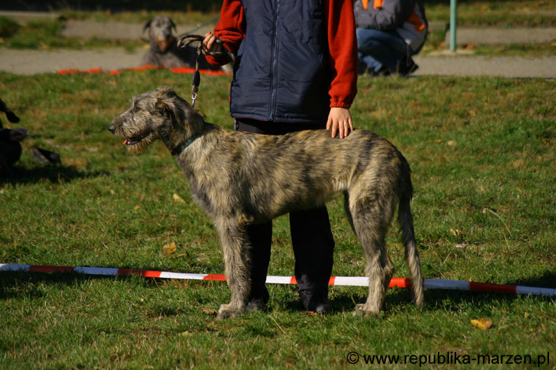 IMG_8715 Tullamore Cup 08
