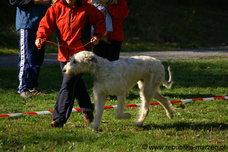 IMG_8716 Tullamore Cup 08