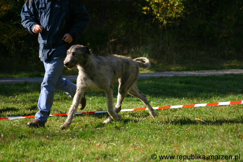 IMG_8739 Tullamore Cup 08