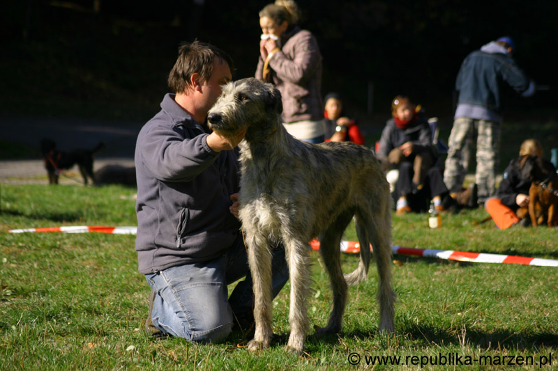 IMG_8749 Tullamore Cup 08