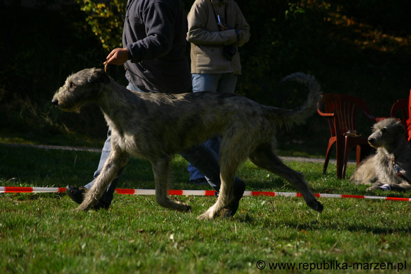 IMG_8753 Tullamore Cup 08