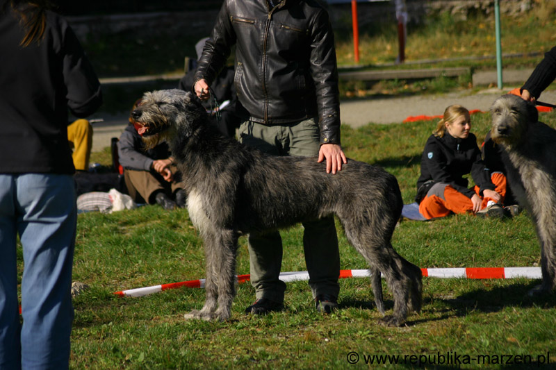 IMG_8791 Tullamore Cup 08