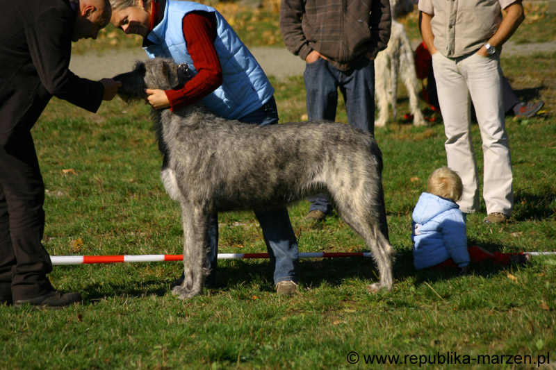 IMG_8794 Tullamore Cup 08