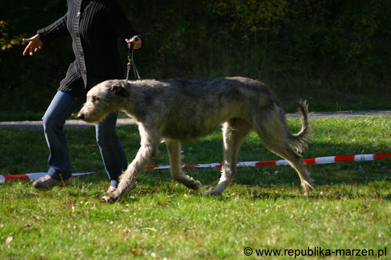IMG_8810 Tullamore Cup 08