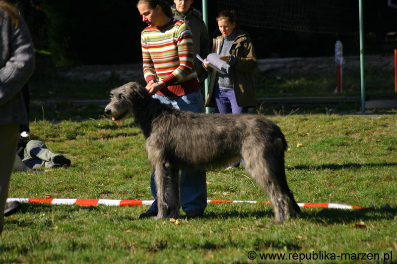IMG_8830 Tullamore Cup 08