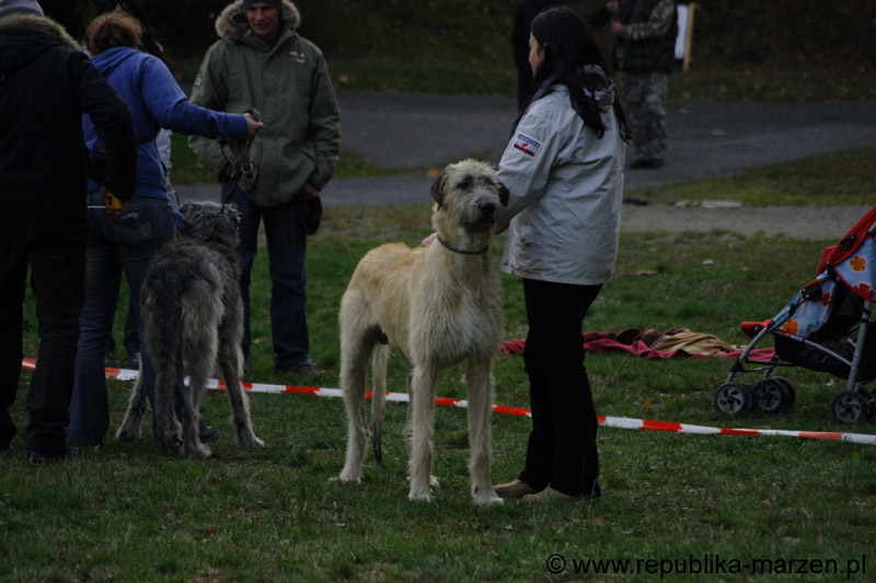 IMG_9062 Tullamore Cup 08