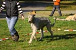IMG_8436 Tullamore Cup 08