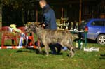 IMG_8440 Tullamore Cup 08