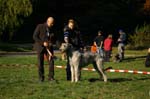 IMG_8508 Tullamore Cup 08