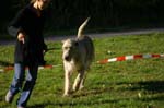 IMG_8540 Tullamore Cup 08