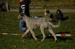IMG_8607 Tullamore Cup 08