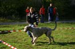 IMG_8614 Tullamore Cup 08