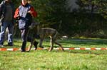 IMG_8680 Tullamore Cup 08