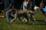 IMG_8748 Tullamore Cup 08