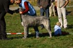 IMG_8794 Tullamore Cup 08
