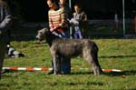 IMG_8830 Tullamore Cup 08