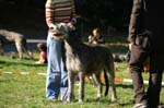 IMG_8839 Tullamore Cup 08