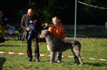 IMG_8853 Tullamore Cup 08