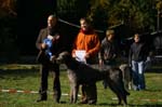 IMG_8878 Tullamore Cup 08