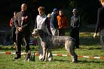 IMG_8902 Tullamore Cup 08