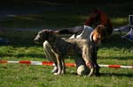 IMG_8903 Tullamore Cup 08