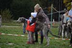IMG_9038 Tullamore Cup 08