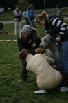 IMG_9050 Tullamore Cup 08