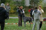 IMG_9108 Tullamore Cup 08