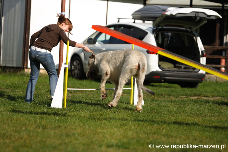 TullamoreCup09_0036