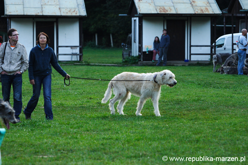 TullamoreCup09_0054