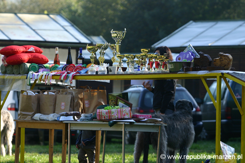 TullamoreCup09_0065